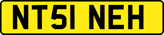 NT51NEH