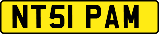 NT51PAM
