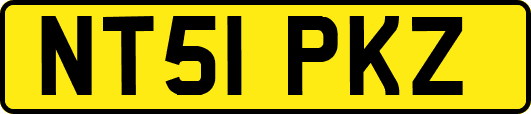 NT51PKZ