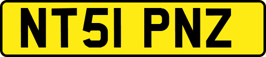 NT51PNZ