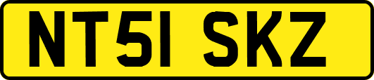 NT51SKZ