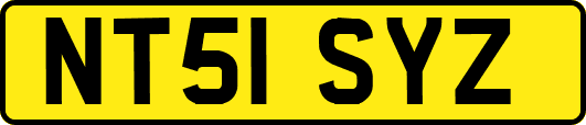 NT51SYZ