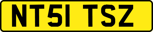 NT51TSZ