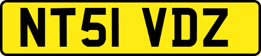 NT51VDZ