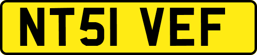 NT51VEF