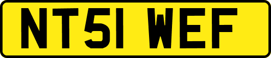 NT51WEF