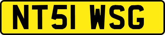NT51WSG