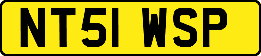 NT51WSP