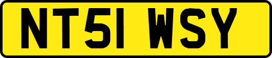 NT51WSY