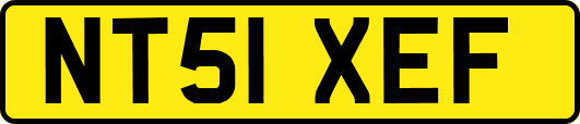 NT51XEF