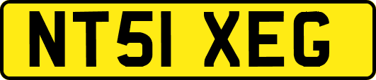 NT51XEG