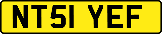 NT51YEF