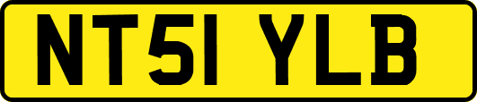 NT51YLB