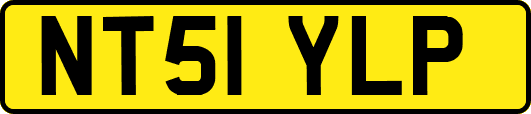 NT51YLP
