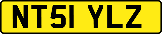 NT51YLZ
