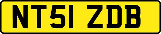 NT51ZDB