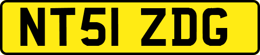 NT51ZDG