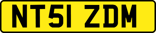 NT51ZDM