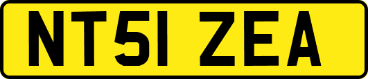 NT51ZEA