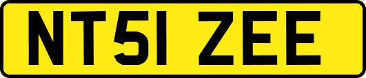 NT51ZEE