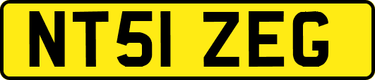 NT51ZEG
