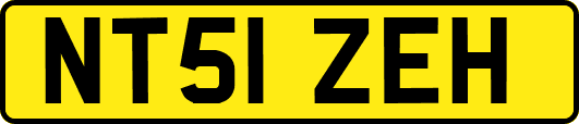 NT51ZEH