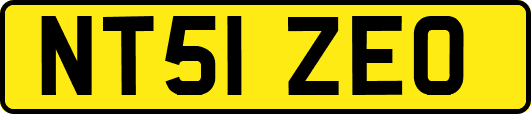 NT51ZEO