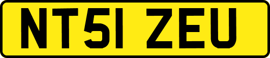 NT51ZEU