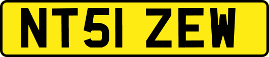 NT51ZEW