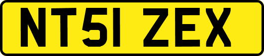 NT51ZEX