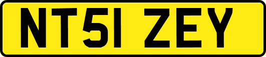 NT51ZEY