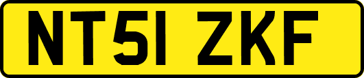 NT51ZKF