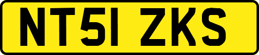 NT51ZKS