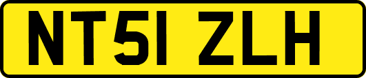 NT51ZLH