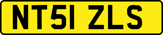 NT51ZLS