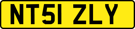 NT51ZLY