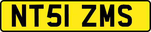 NT51ZMS