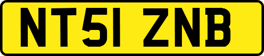 NT51ZNB