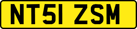 NT51ZSM