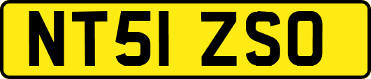 NT51ZSO