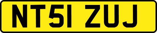 NT51ZUJ
