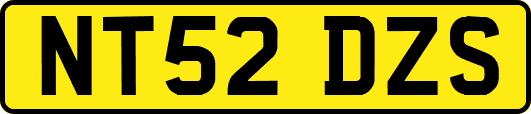 NT52DZS