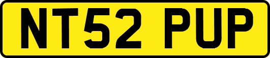 NT52PUP