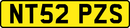 NT52PZS