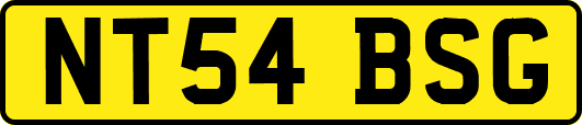 NT54BSG