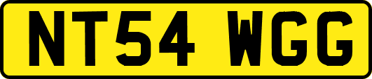 NT54WGG