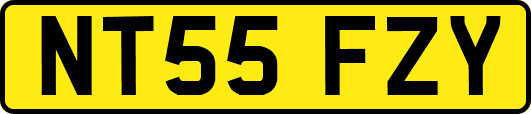 NT55FZY