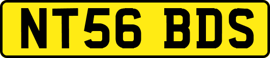 NT56BDS