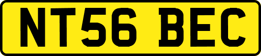 NT56BEC