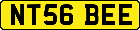 NT56BEE